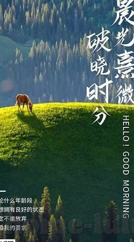 成人免费观观看视频播放-成人内容观看的伦理边界与个人选择