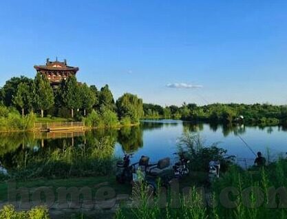 h人妻-探索H人妻角色的多维度解读