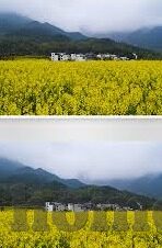 麻豆在视频线下载-探索麻豆在视频线上的下载之旅