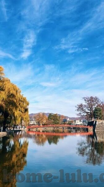 日韩成人av高清-日韩成人AV高清，文化、市场与伦理的交织
