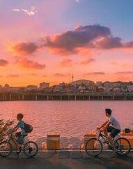 糖心vlog会员账号-探索糖心Vlog会员账号，解锁高质量内容体验的钥匙